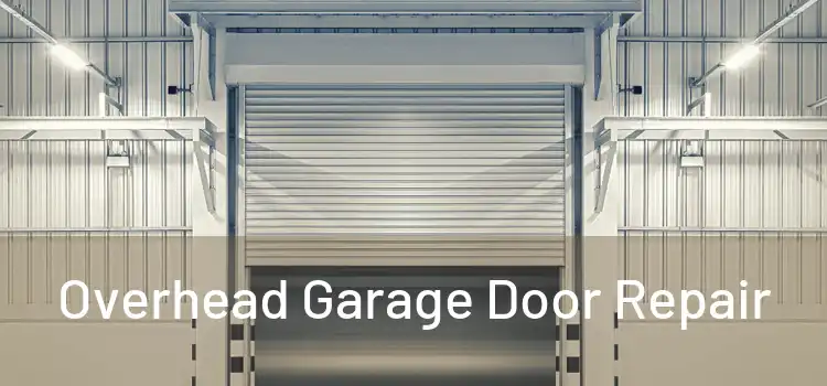  Overhead Garage Door Repair 